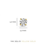Solveig – Set of Shiny Earrings with Stones