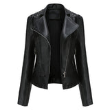 Embellished Biker Jacket with Studs