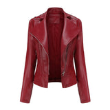 Embellished Biker Jacket with Studs