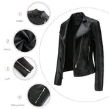 Embellished Biker Jacket with Studs
